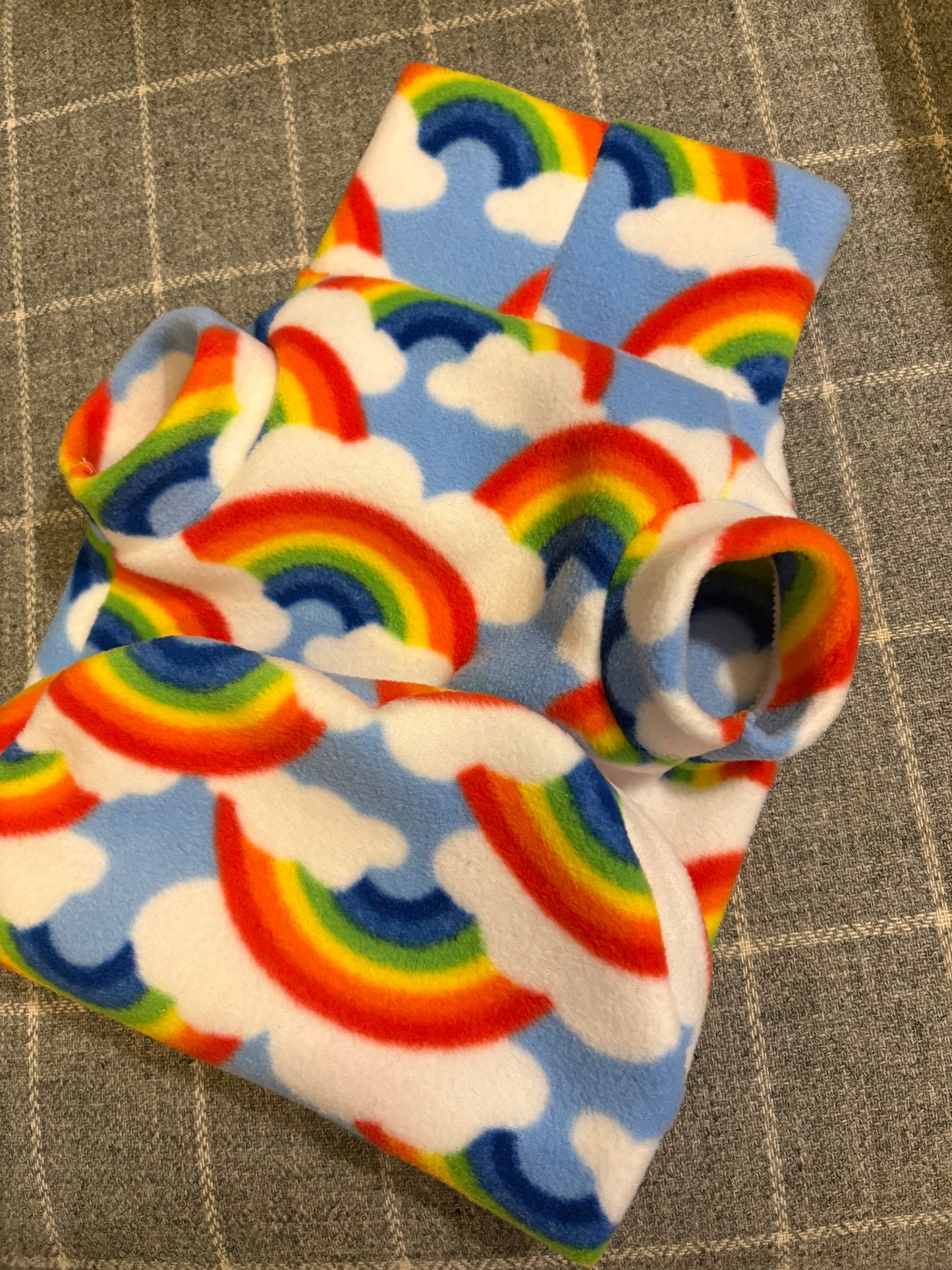 🌈New🌈 Limited Edition “over the rainbow” Dachshund/Small Breed Tankie