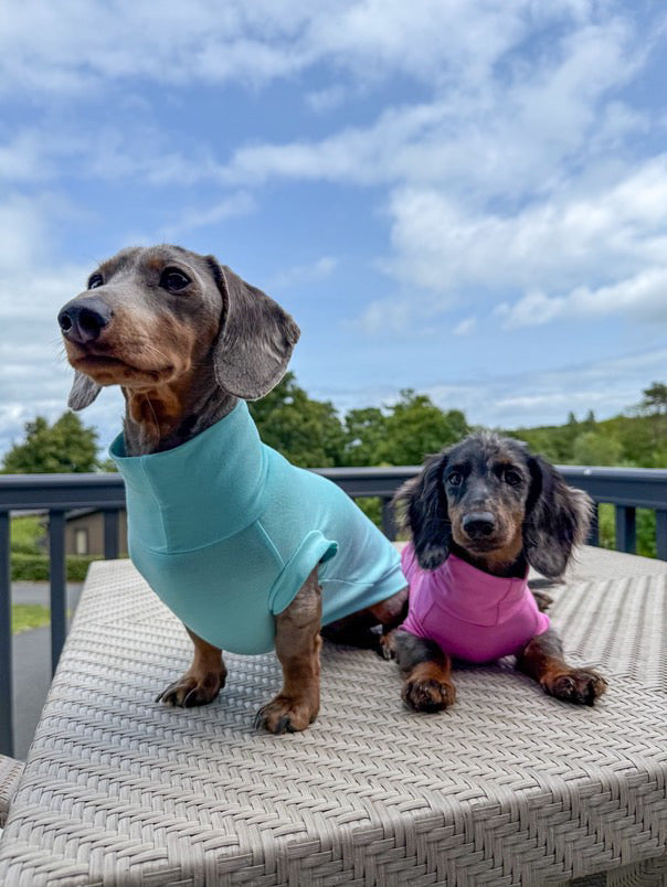 Bamboo Jersey T-Shirt Dachshund/Small Breed