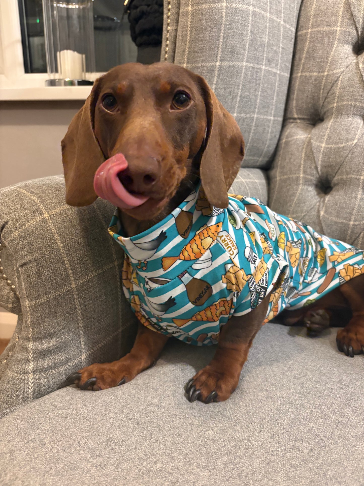 Fish & Chips Jersey T-Shirt Dachshund/Small Breed