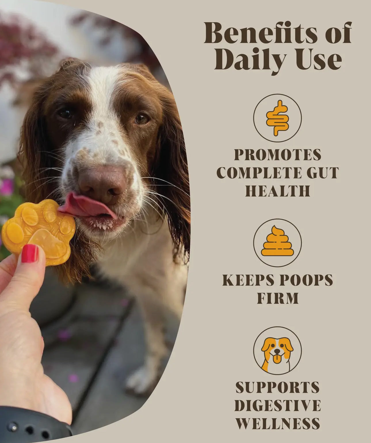 Pumpkin & Probiotics Powder