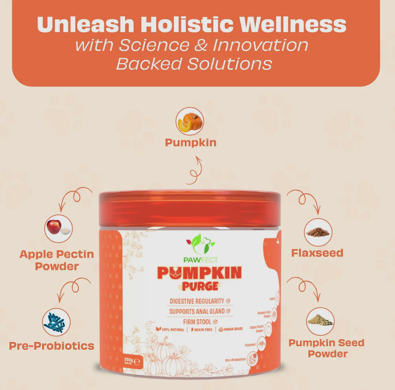 Pumpkin Purge Enrichment Powder