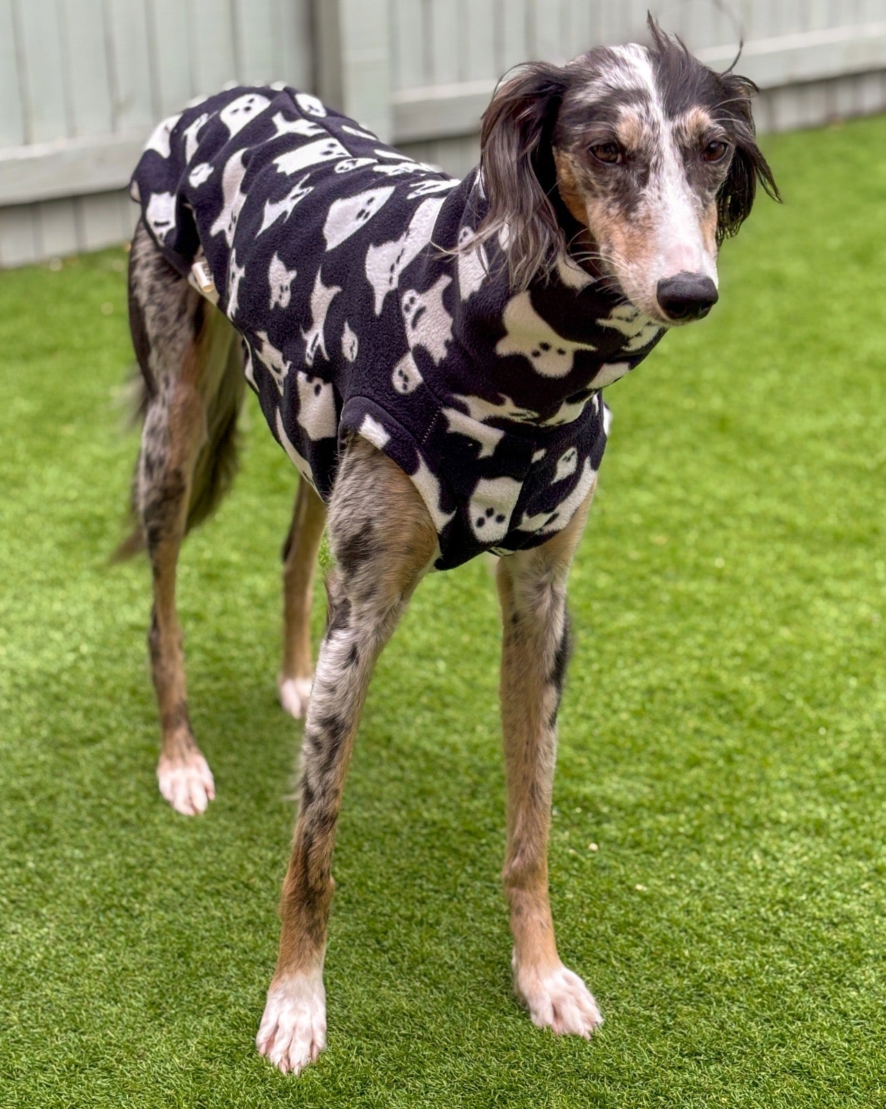 Halloween Print Greyhound Jersey Tankie - Please choose your choice of fabric. *PRE-ORDER TO RECEIVE BY END OF SEPT*