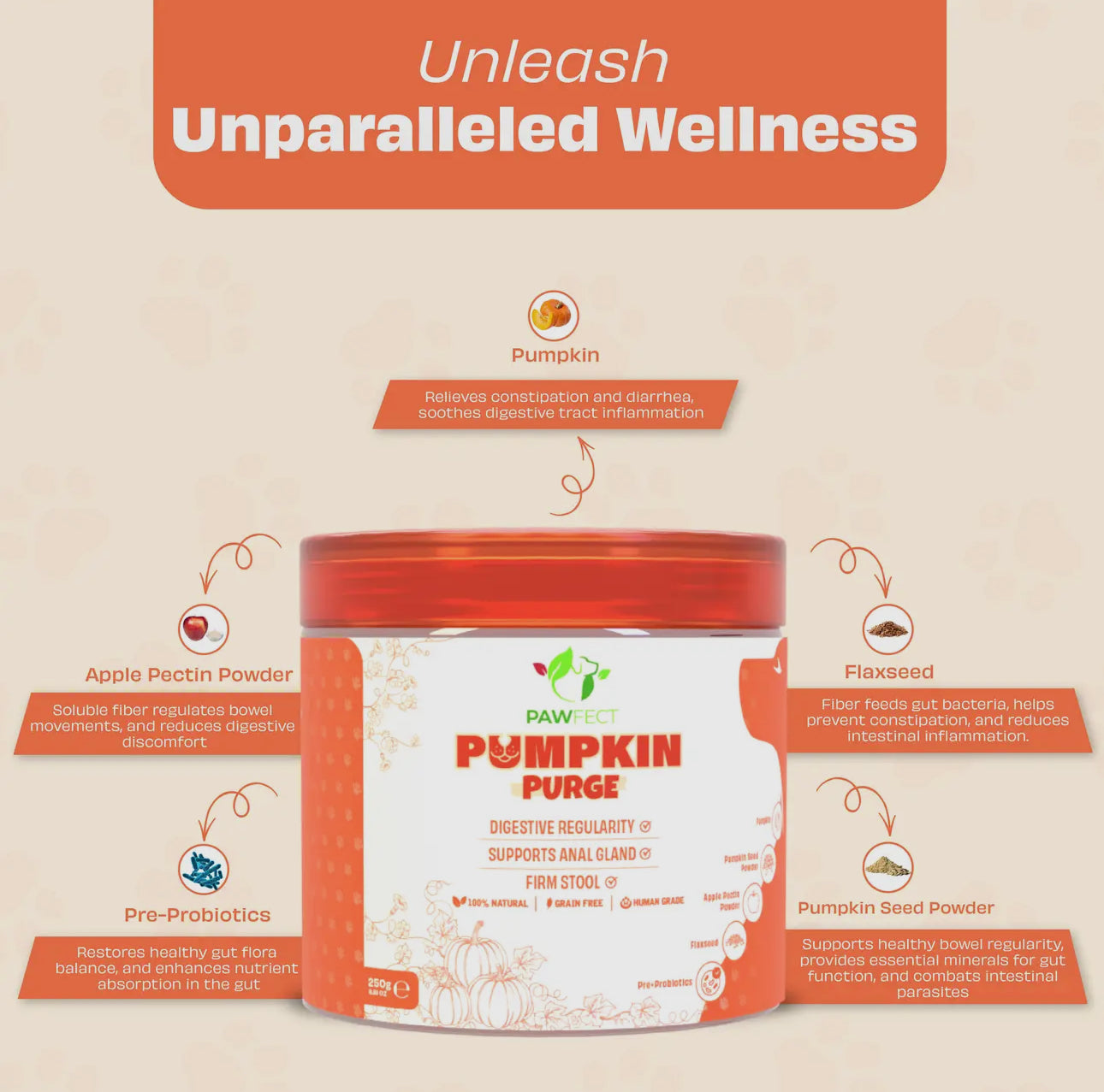 Pumpkin Purge Enrichment Powder