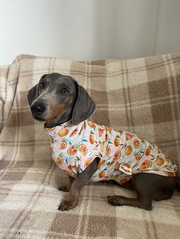 Clementine Jersey T-Shirt Dachshund/Small Breed