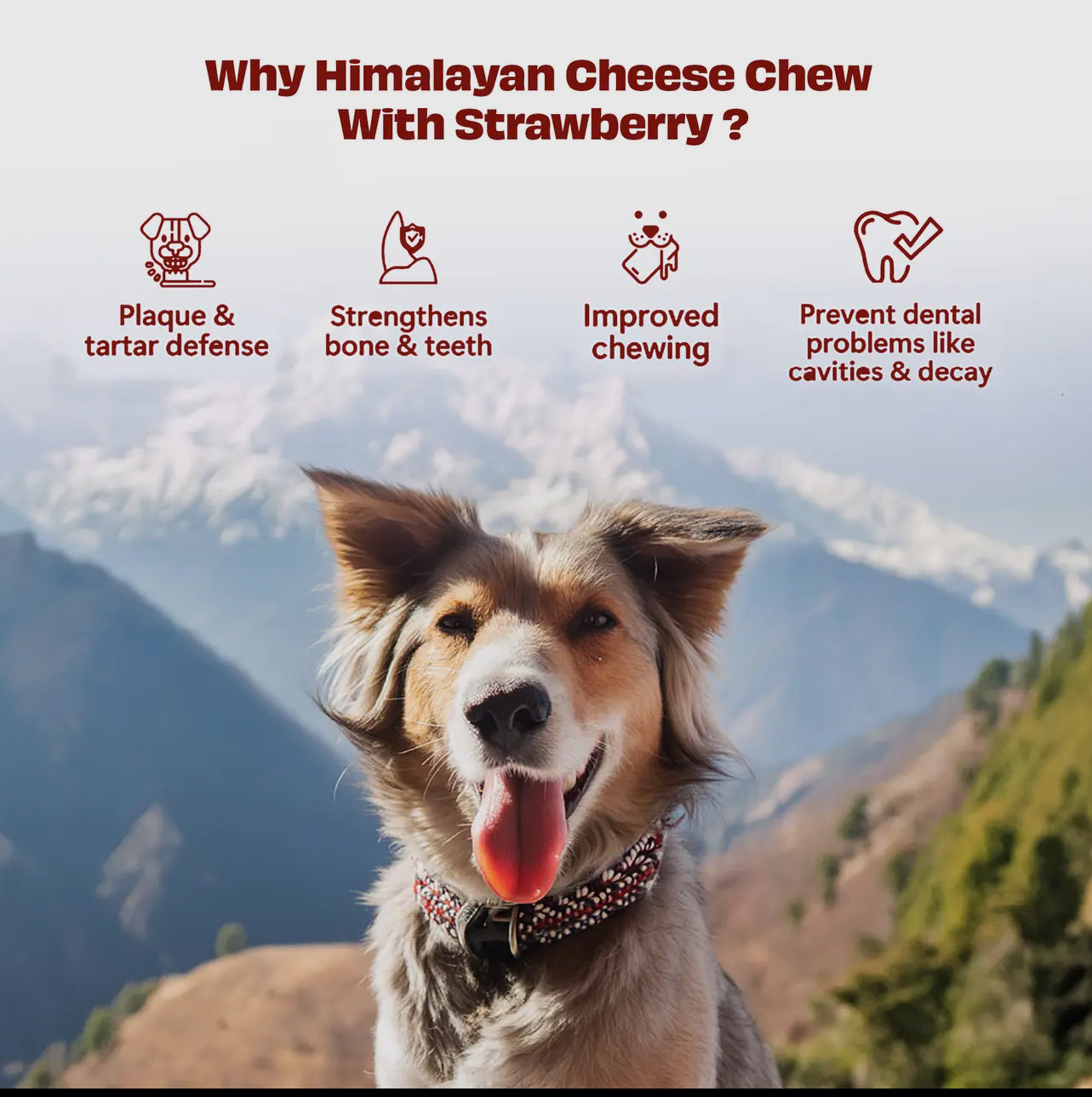 Medium Strawberry Yak Cheese Chews Medium x 3
