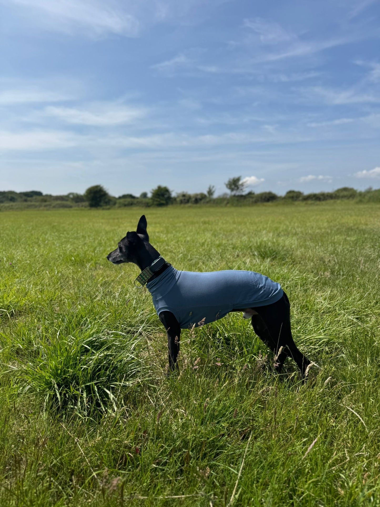 Whippet Bamboo Jersey Tankie