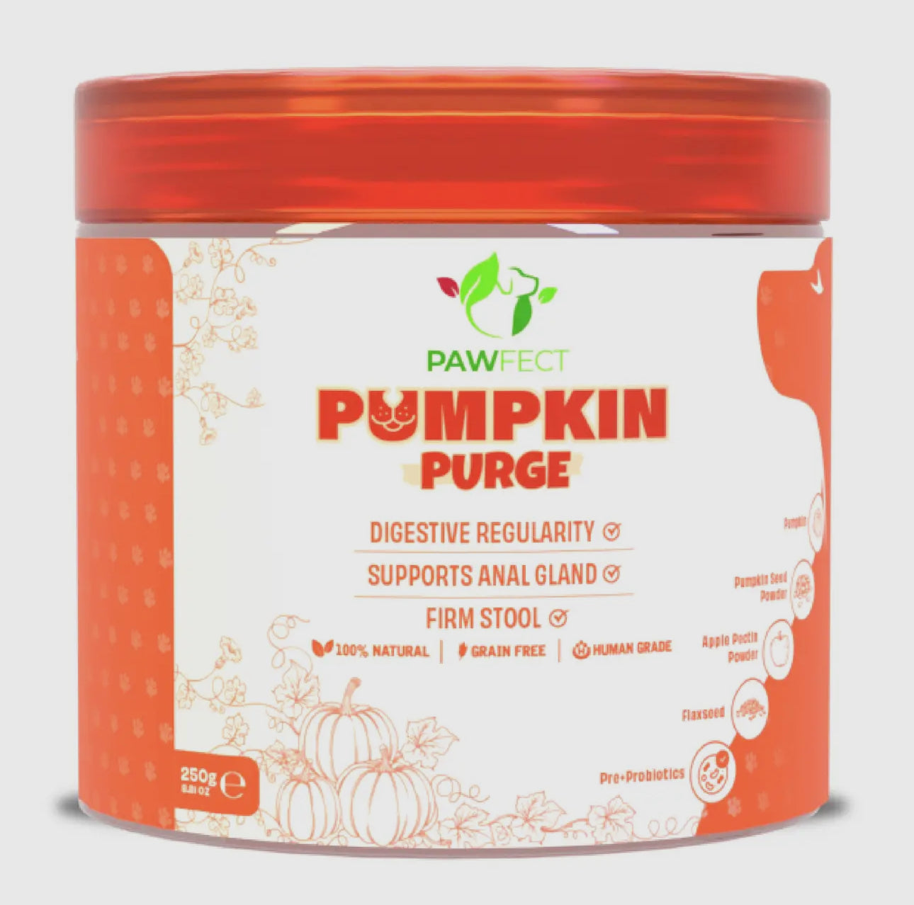 Pumpkin Purge Enrichment Powder