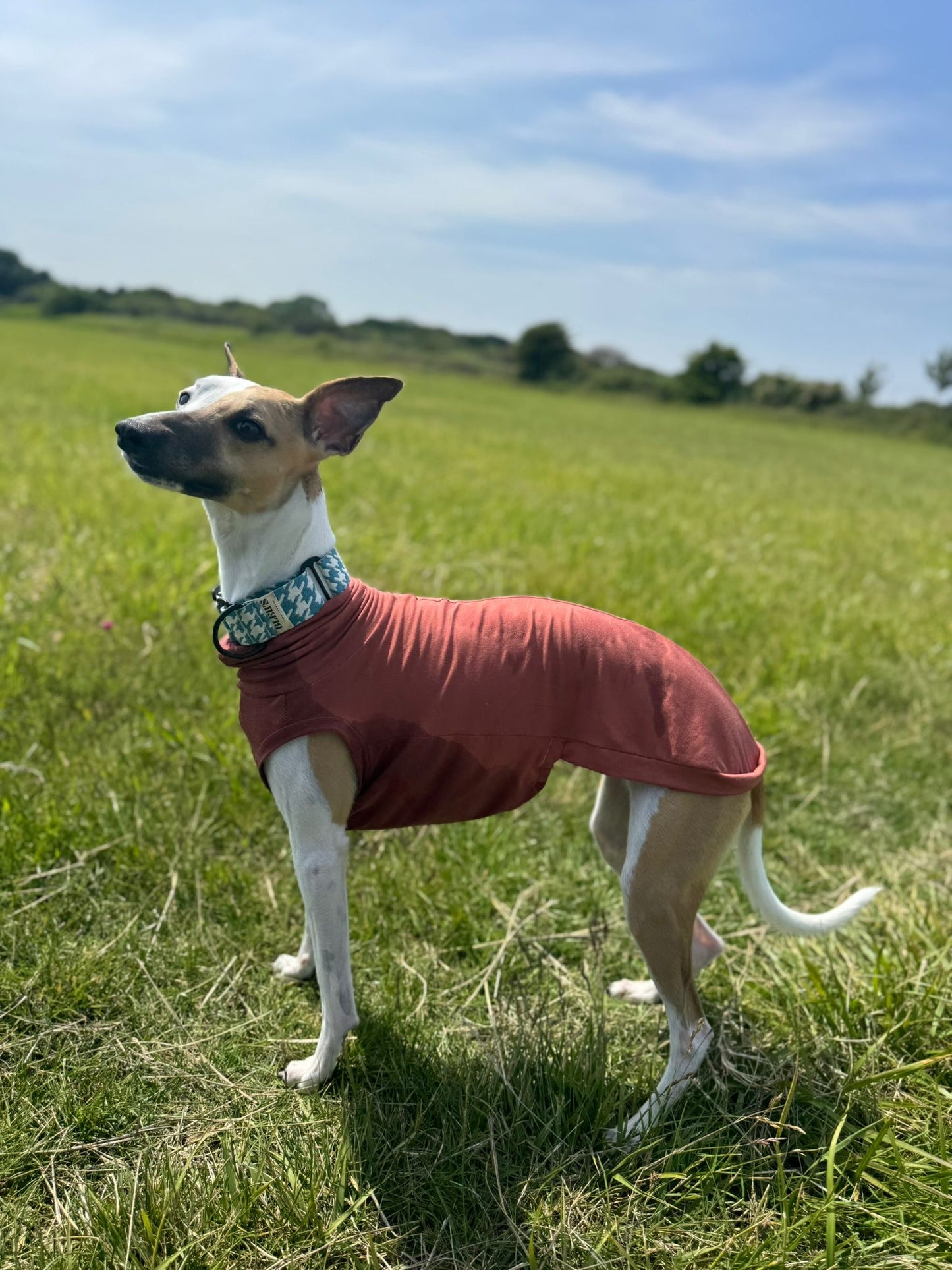 Whippet Bamboo Jersey Tankie