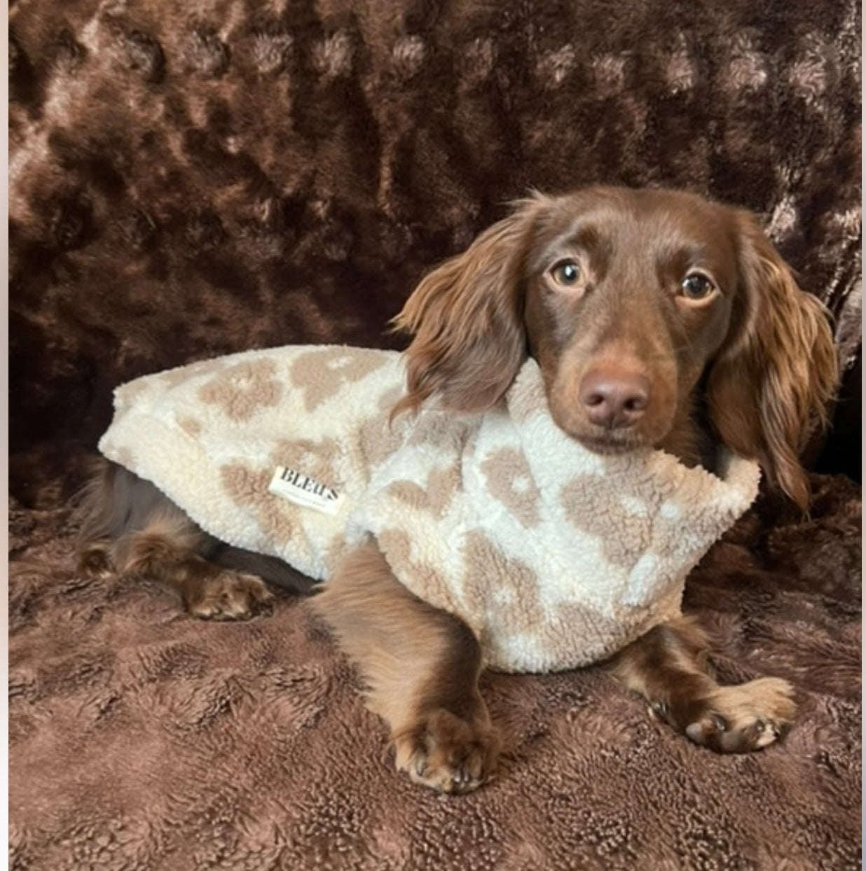 Nude Floral Soft Sherpa Fleece Jumper Dachshund/Small Breed Tankie