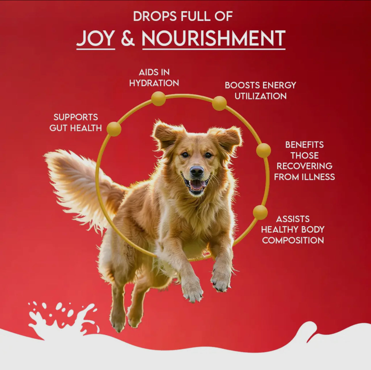 Nature's Sip for Dogs: Goat's Milk with Pomegranate & Cranberry (120g/4.23oz) Pet Container