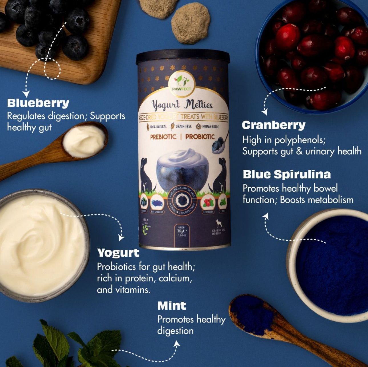 Yogurt Melties With Blueberries, Blue Spirulina, Cranberries & Mint For Dogs