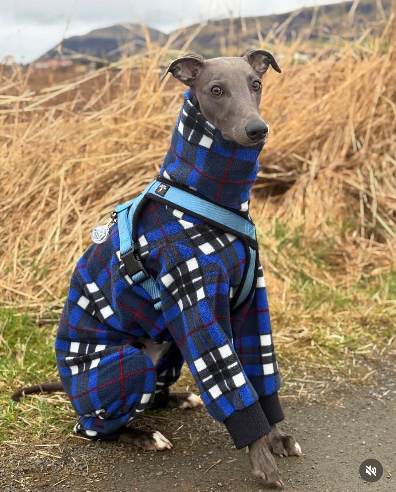 Blue Tartan Whippet Polar Fleece Onesie