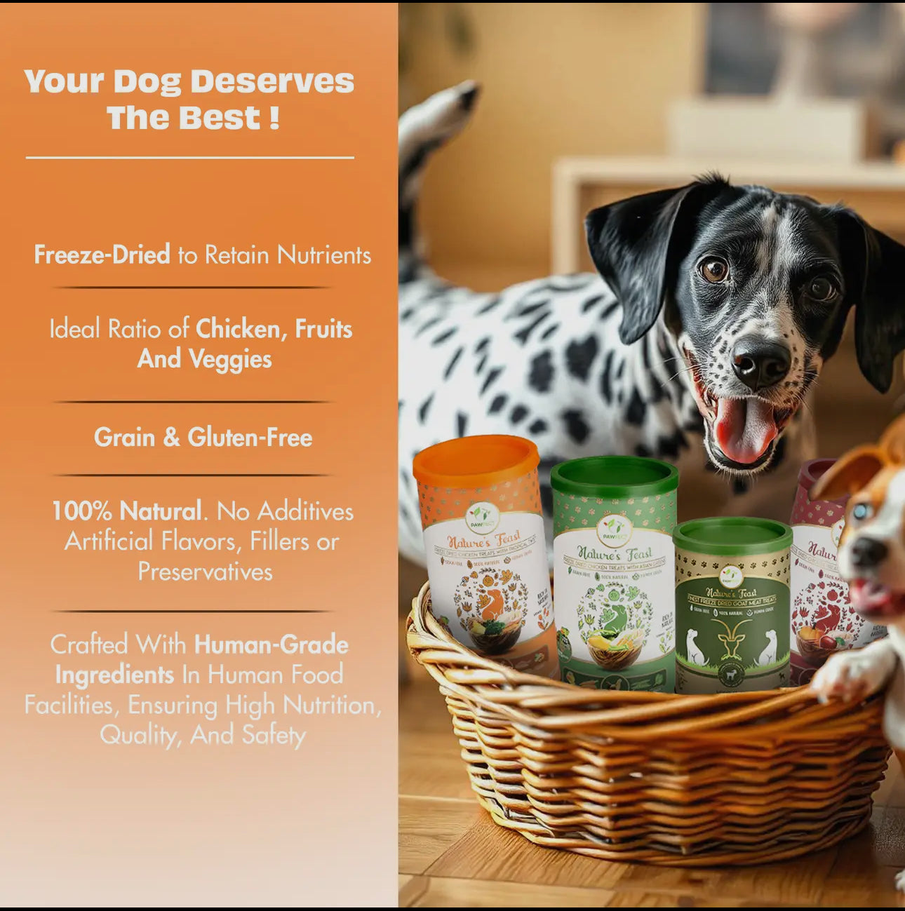 Nature's Feast Freeze Dried For Dog- Chicken with Tropical Twist (50g)