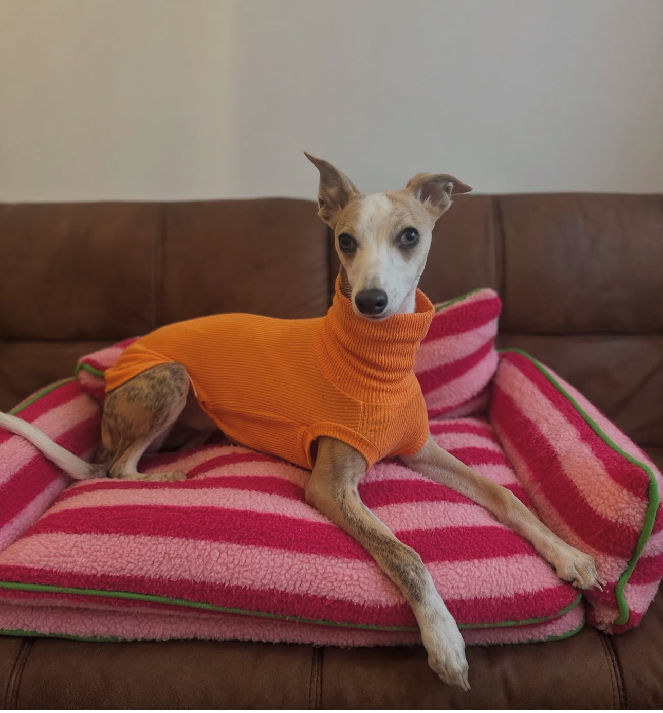 Whippet Crinkle Jersey Tankie In Various Colours