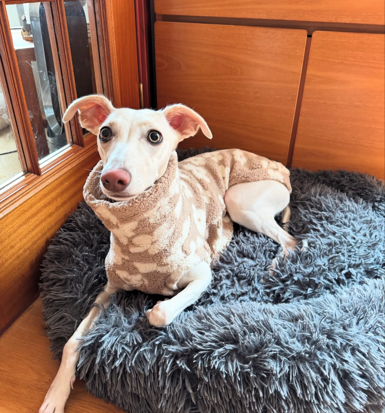 Soft Sherpa Tankie for Italian Greyhounds