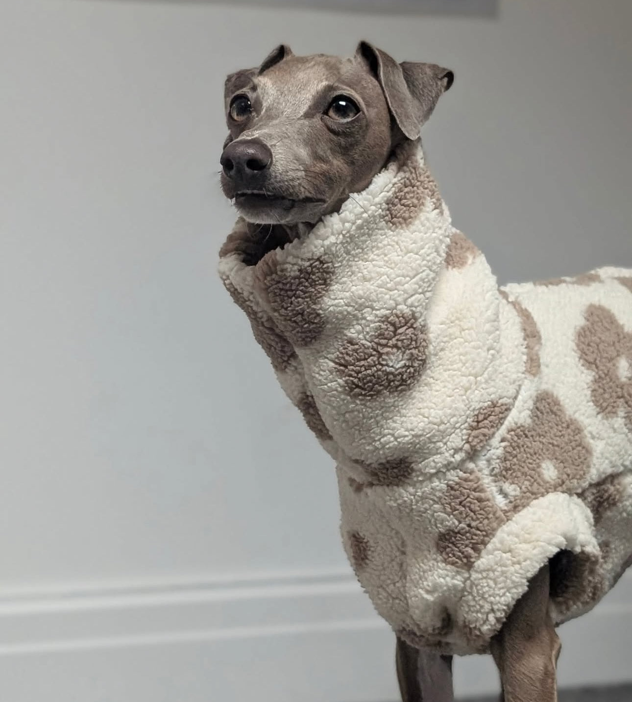 Soft Sherpa Tankie for Italian Greyhounds