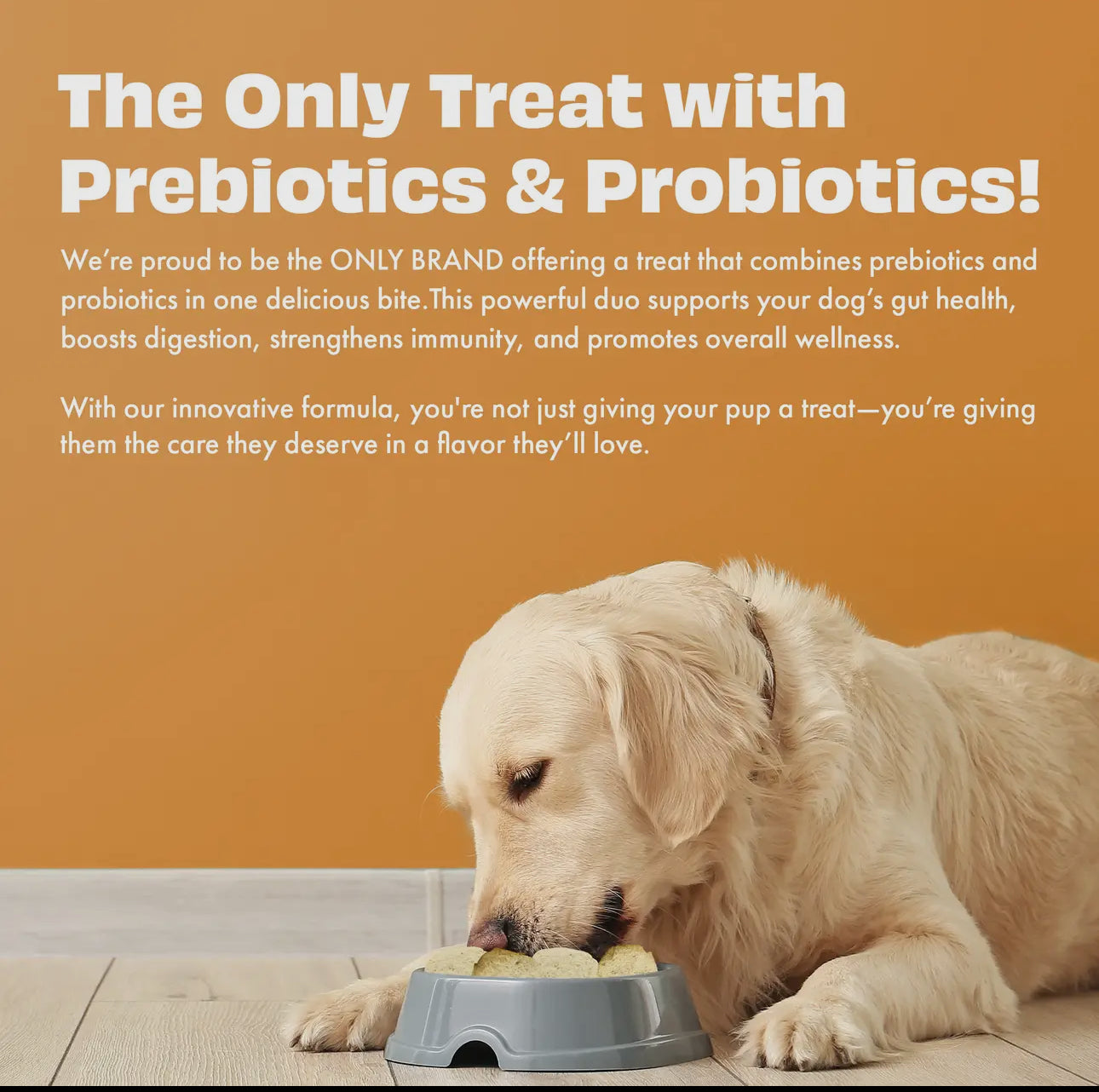 Yogurt Melties With Carrot, Flaxseed, Peas & Sweet Potato For Dogs