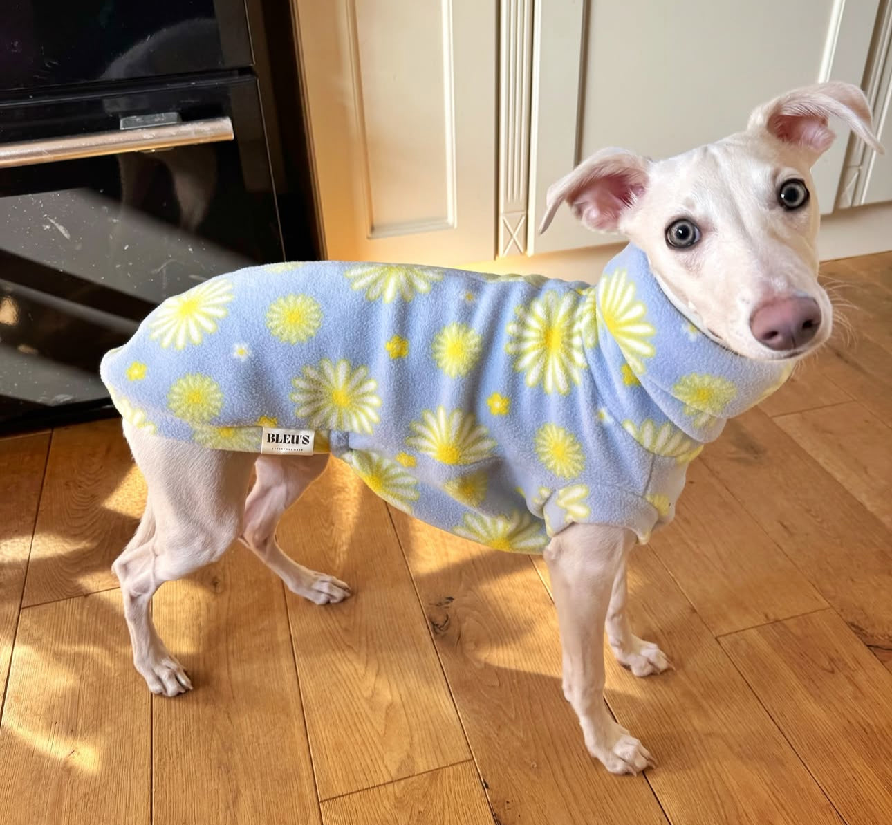 Bleu's Tankie For Whippets in Ditsy Daisy Print Fleece