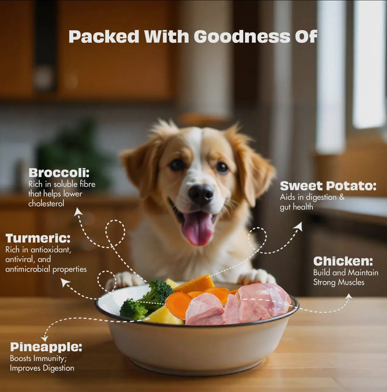Nature's Feast Freeze Dried For Dog- Chicken with Tropical Twist (50g)