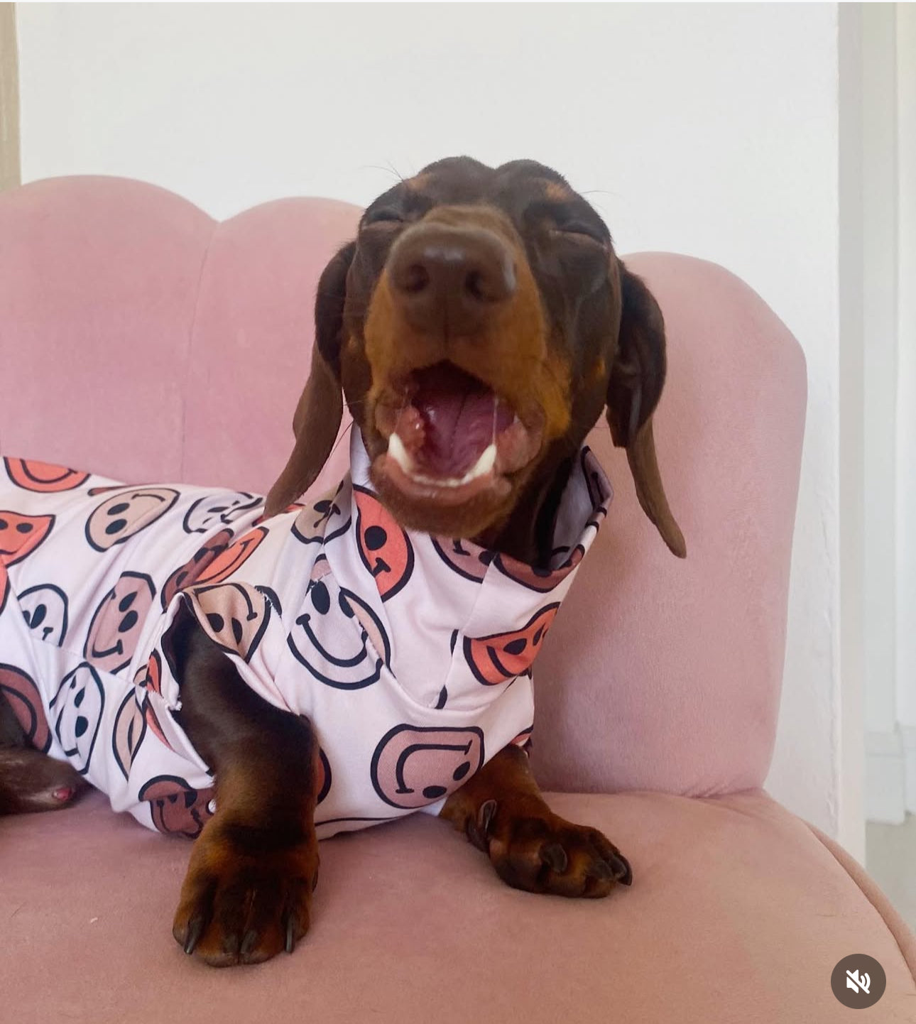 Mint/Brown Smileys Jersey T-Shirt Dachshund/Small Breed