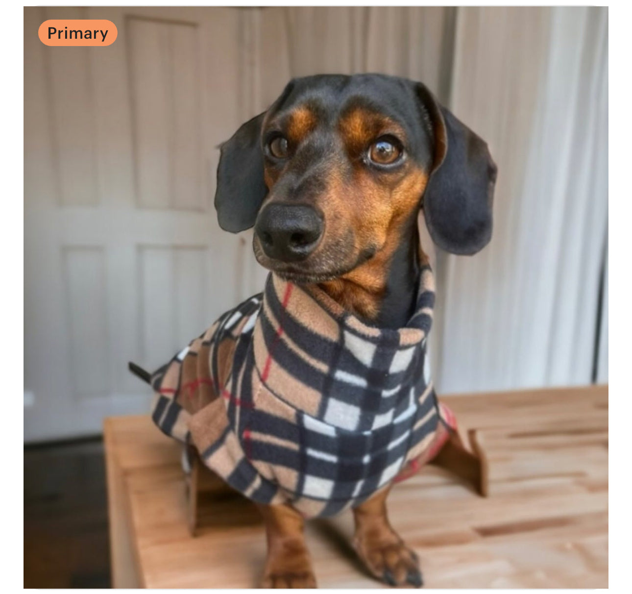 Furberry Dachshund/Small Breed Tankie