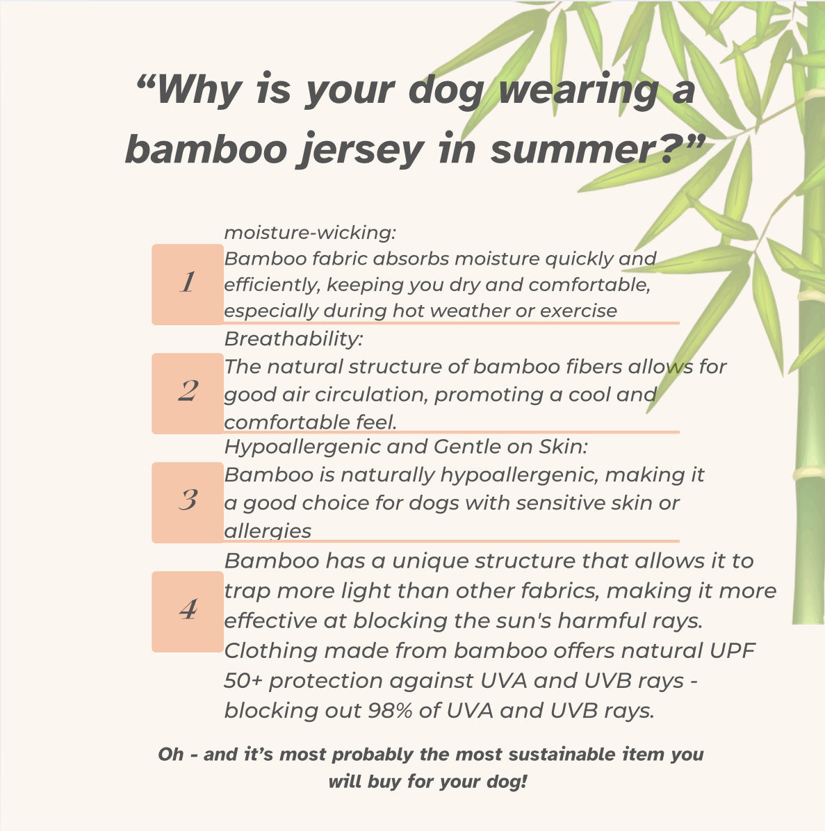 Bamboo Jersey T-Shirt Dachshund/Small Breed