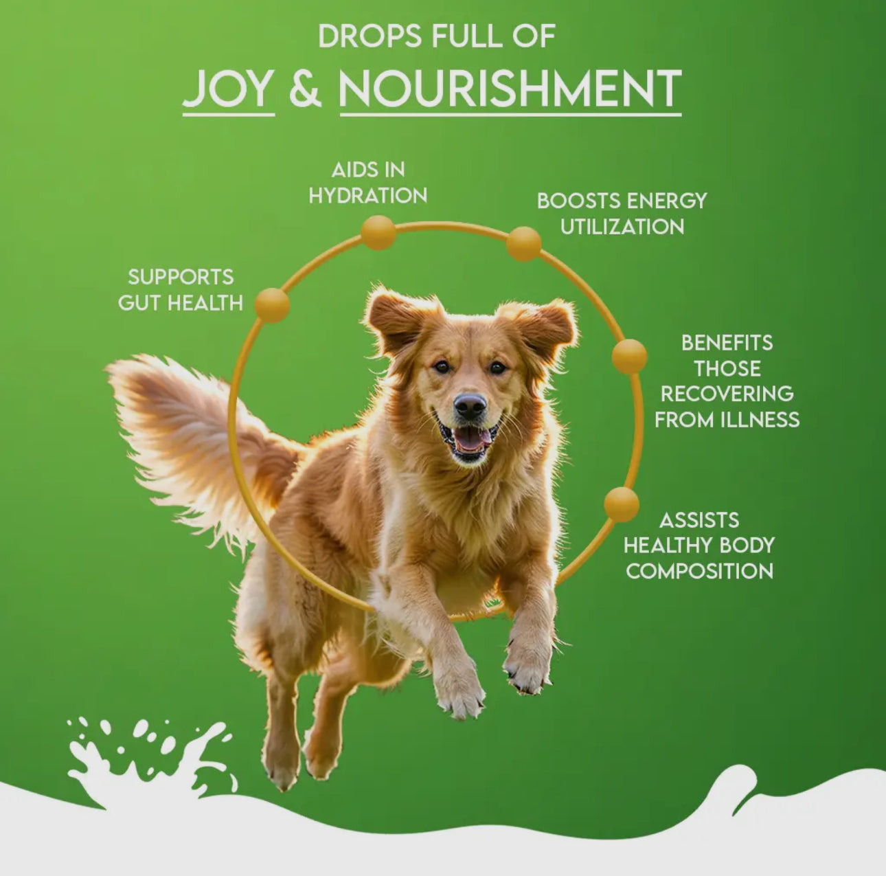 Nature's Sip for Dogs: 100% Goat Milk (120g/4.23oz) Pet Container