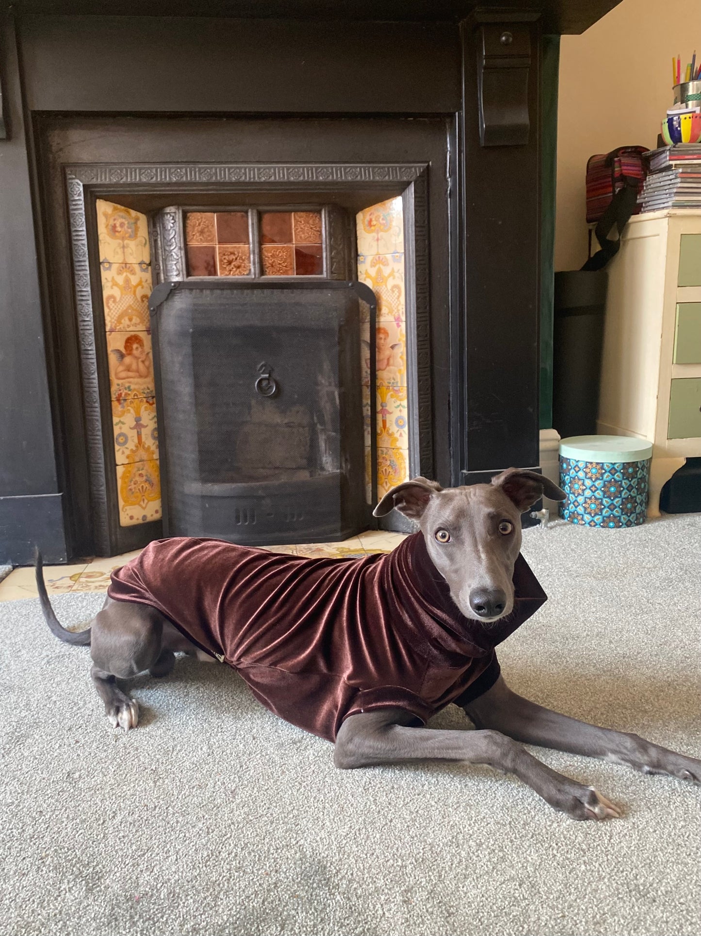 Bleu's Velvet Luxe Jersey Tankie For Whippets