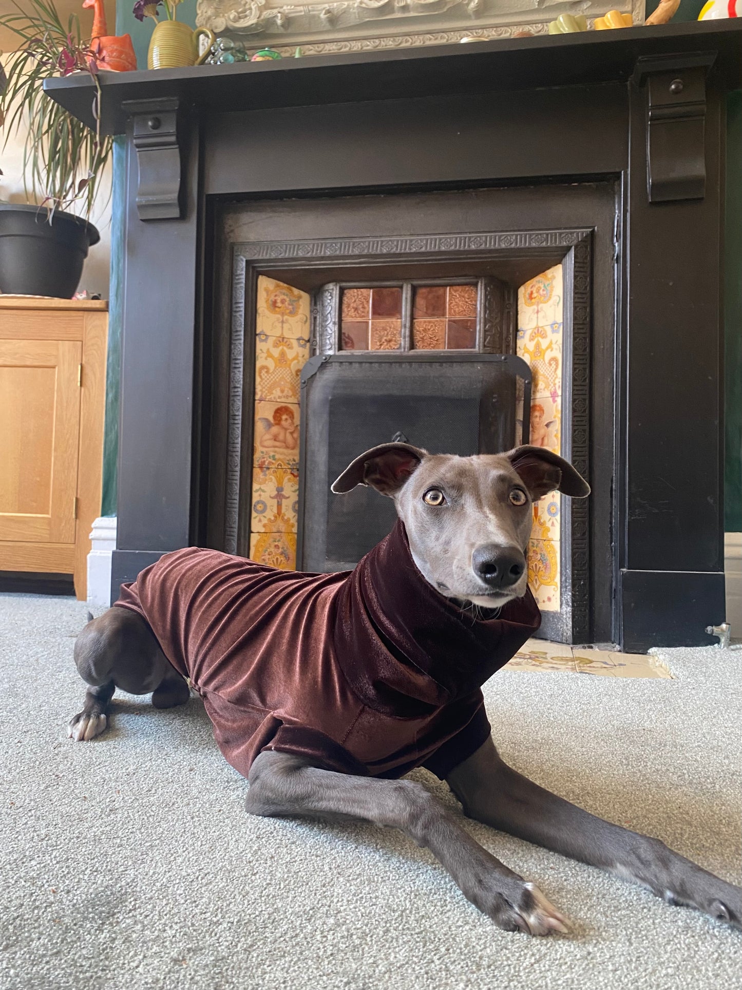 Bleu's Velvet Luxe Jersey Tankie For Whippets