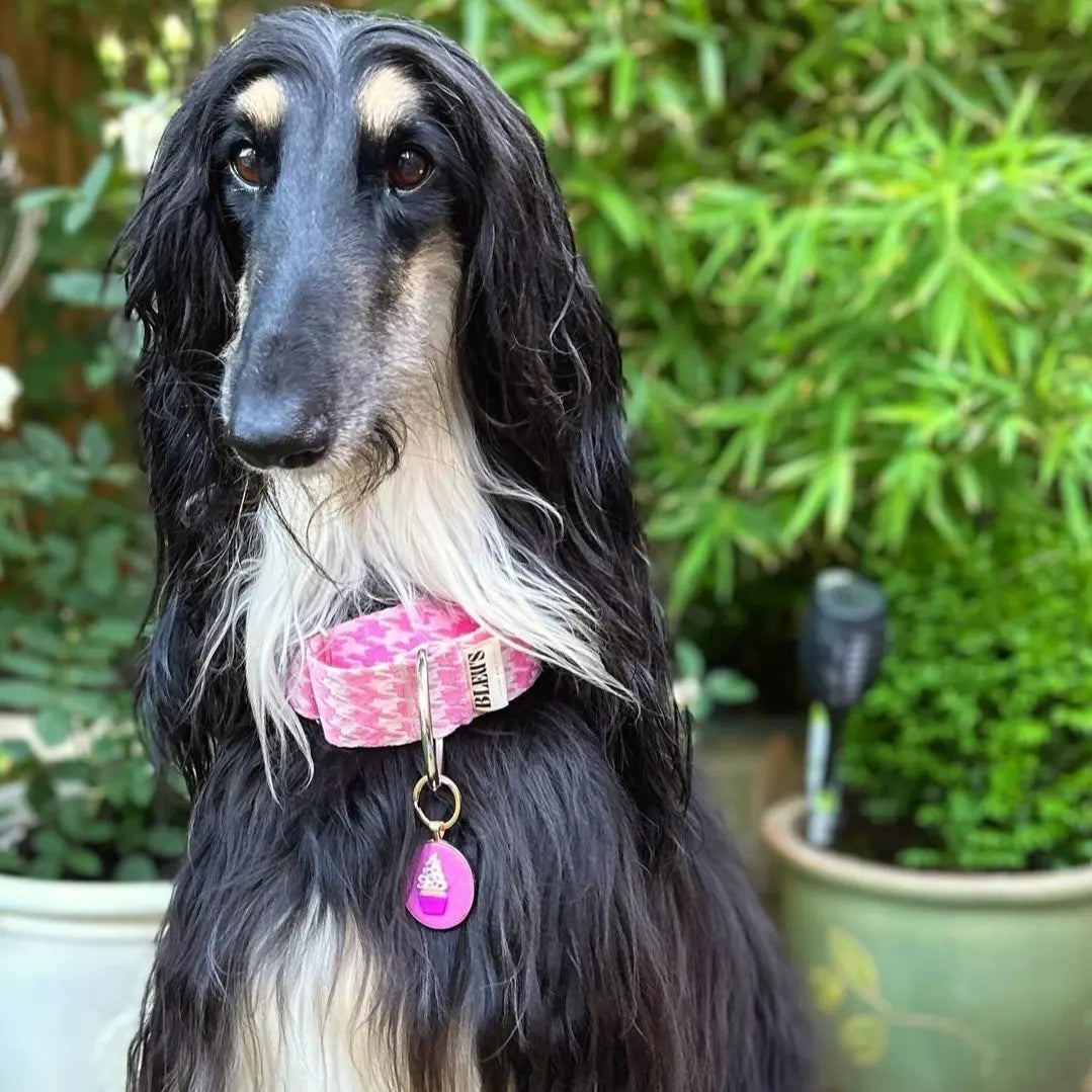50mm Pink & White Houndstooth Martingale Collar