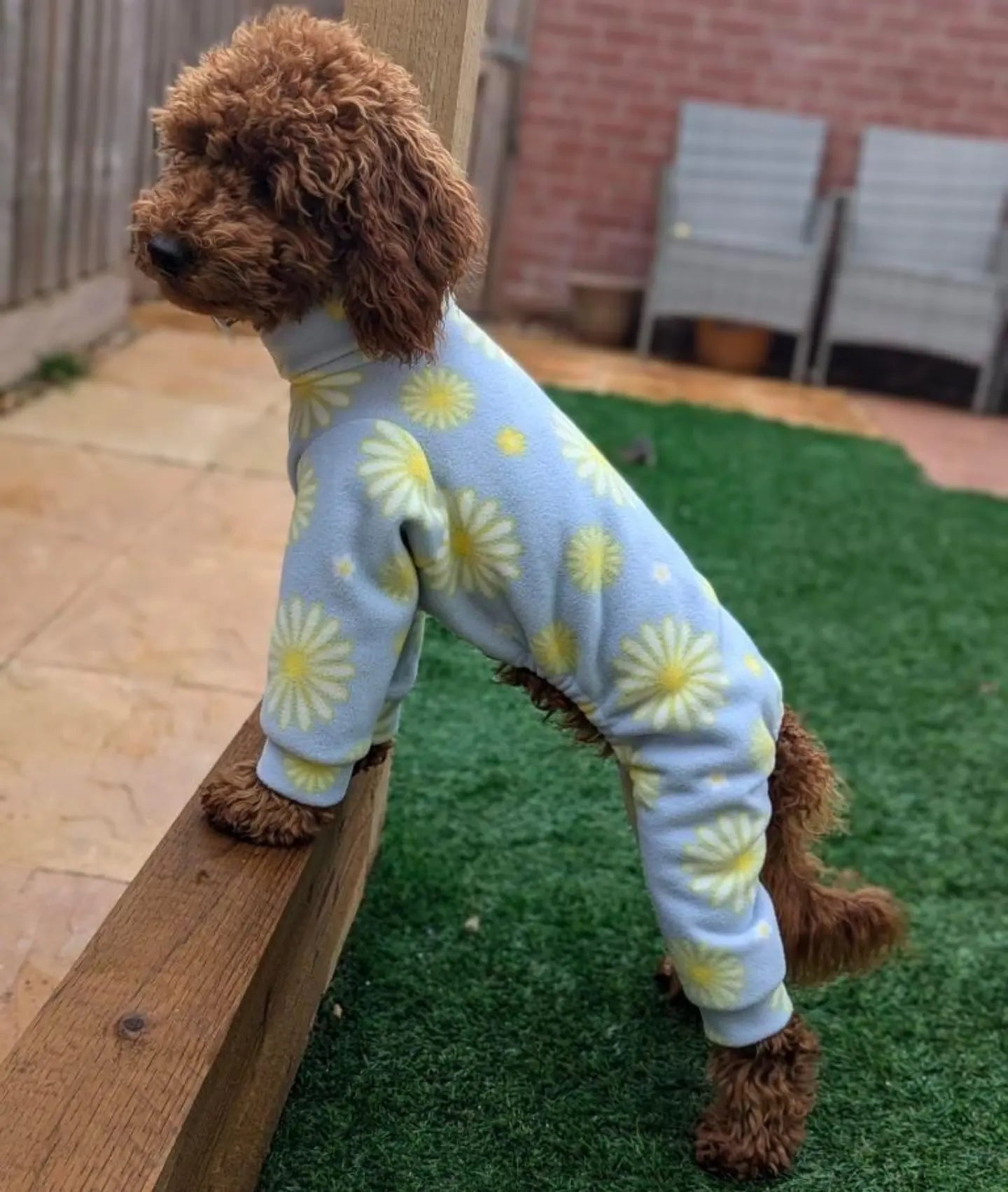 Daisy Italian Greyhound Fleece Onesie