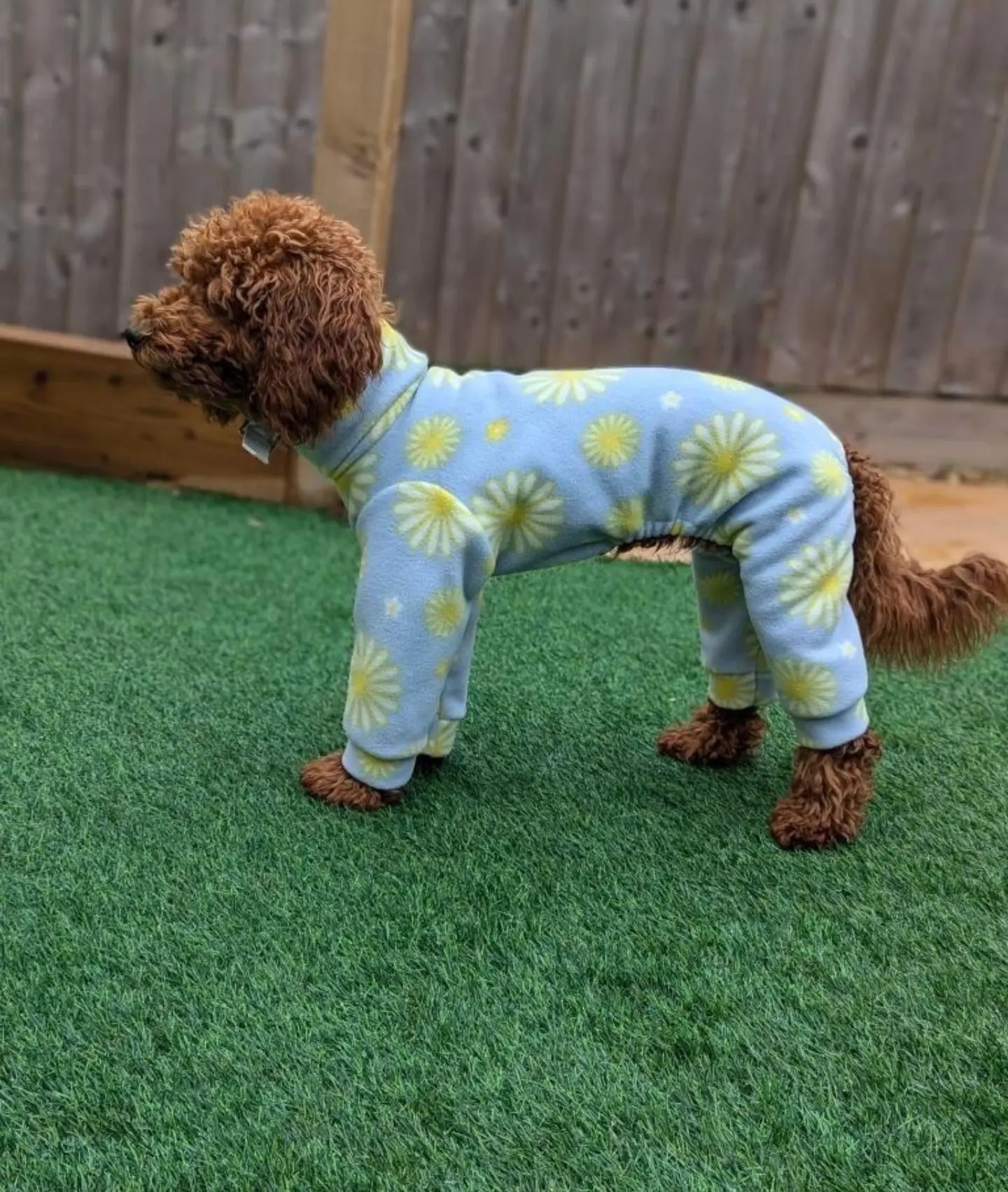 Daisy Italian Greyhound Fleece Onesie