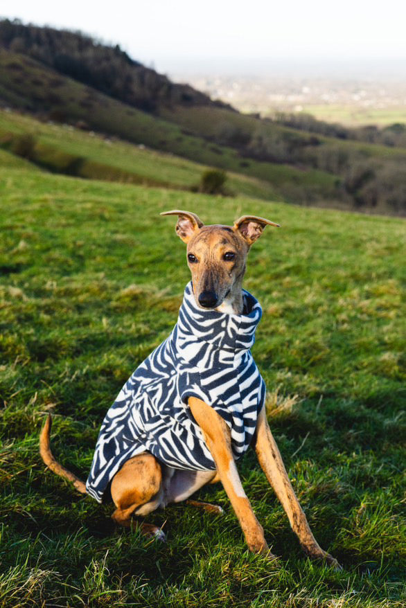 Bleu's Tankie For Whippets in Zebra Print Polar Fleece