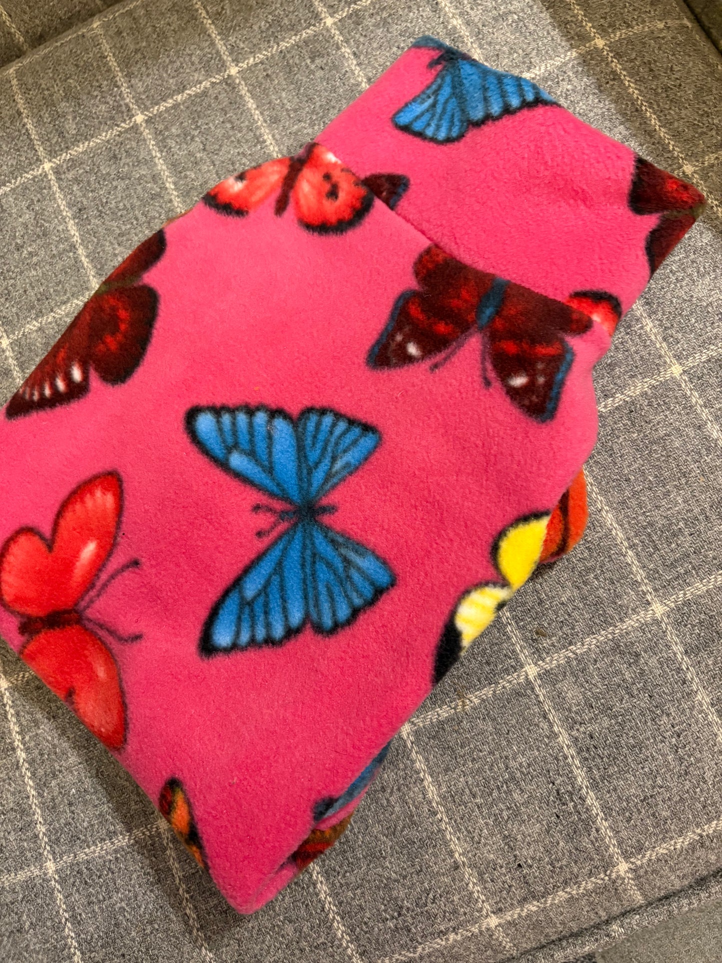🦋 Butterfly House🦋 Limited Edition Dachshund/Small Breed Tankie