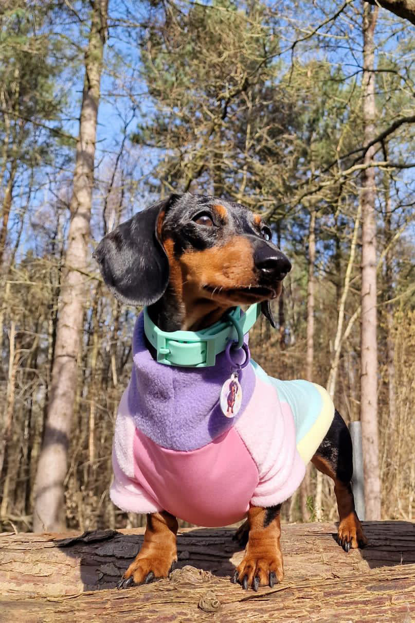 Waterproof Tummy Pastel Long Sleeve Jumper Dachshund/Small Breed