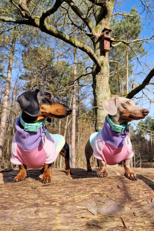 Waterproof Tummy Pastel Long Sleeve Jumper Dachshund/Small Breed