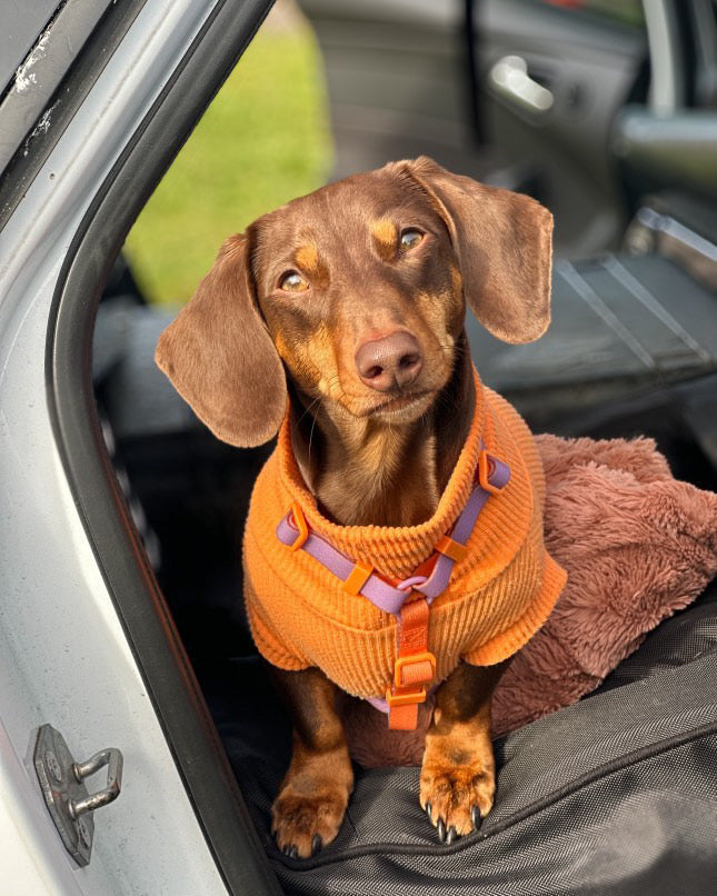 Crinkle Jersey Dachshund Tankie In Various Colours - Please leave colour choice in order notes.