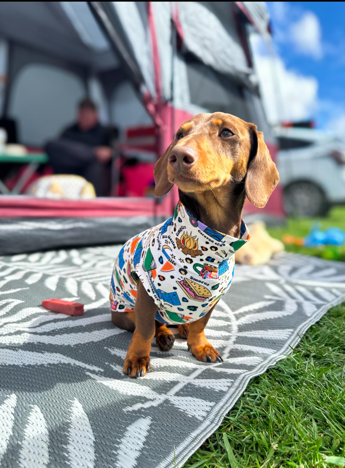 “Camping Out” Jersey T-Shirt Dachshund/Small Breed