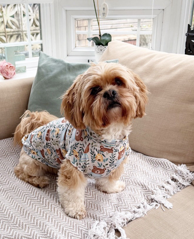 “Mr Bear” Jersey T-Shirt Dachshund/Small Breed
