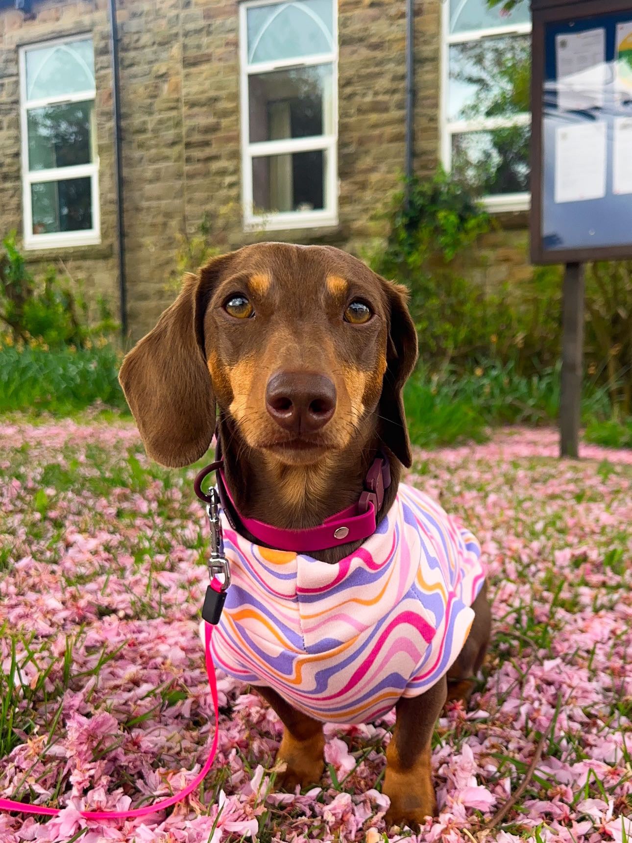 New Limited Edition Pink Waves Alpine Fleece Tankie