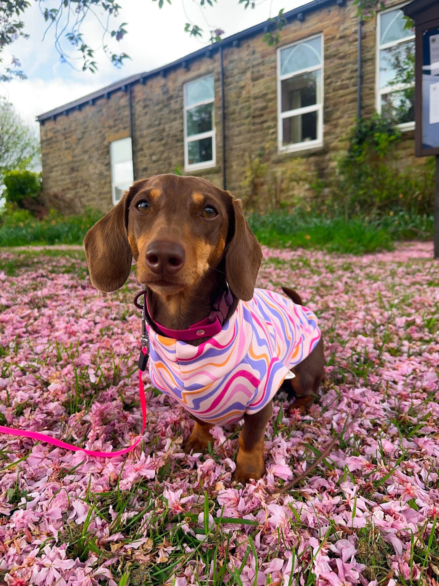 New Limited Edition Pink Waves Alpine Fleece Tankie