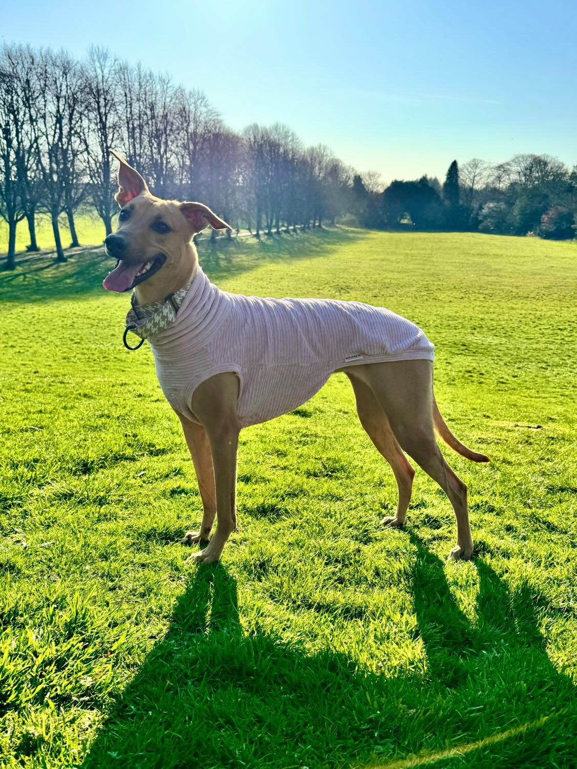 Greyhound Plush Cord Jersey Tankie *Please leave colour choice in notes at checkout!*