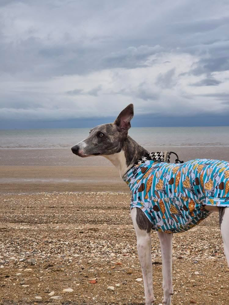Fish & Chips Whippet Jersey Tankie