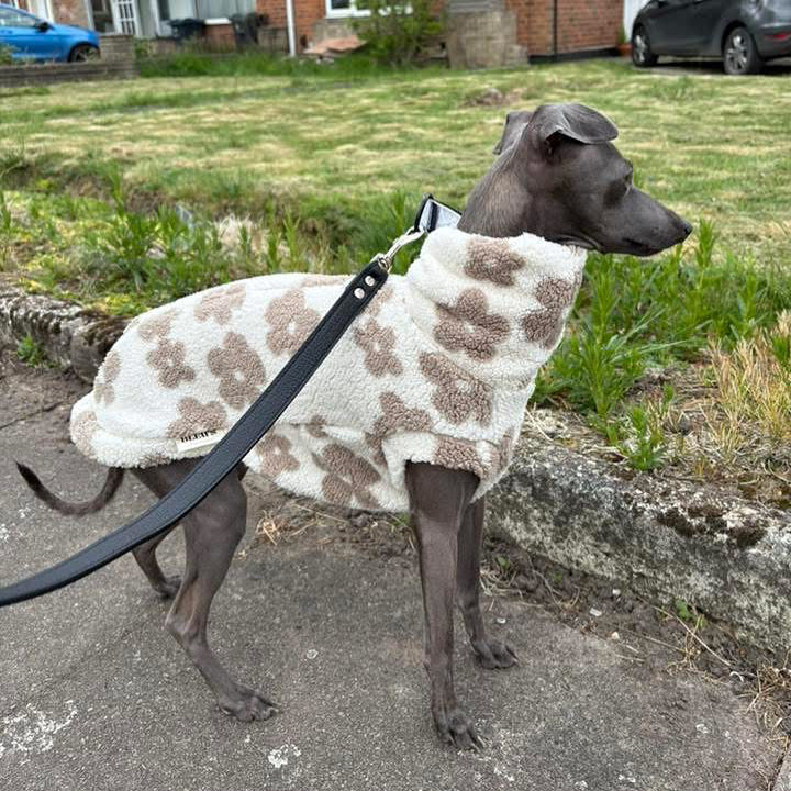 Soft Sherpa Tankie for Italian Greyhounds