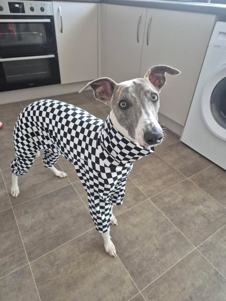 Checkered Monochrome Jersey Onesie For Whippets & Italian Greyhounds