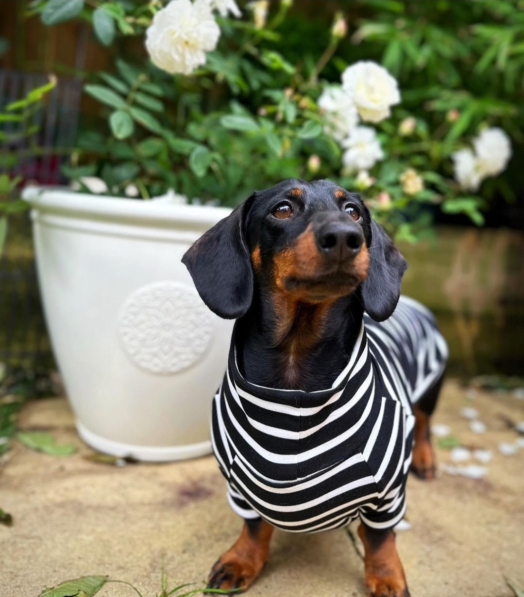 Stripe Jersey T-Shirt Dachshund/Small Breed