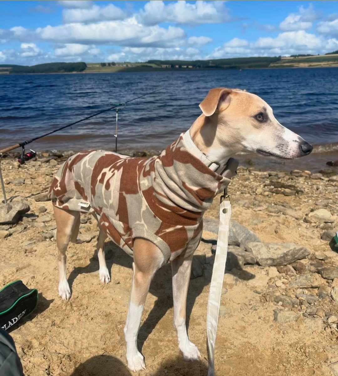 Sand Camo Bleu's Tankie For Whippets
