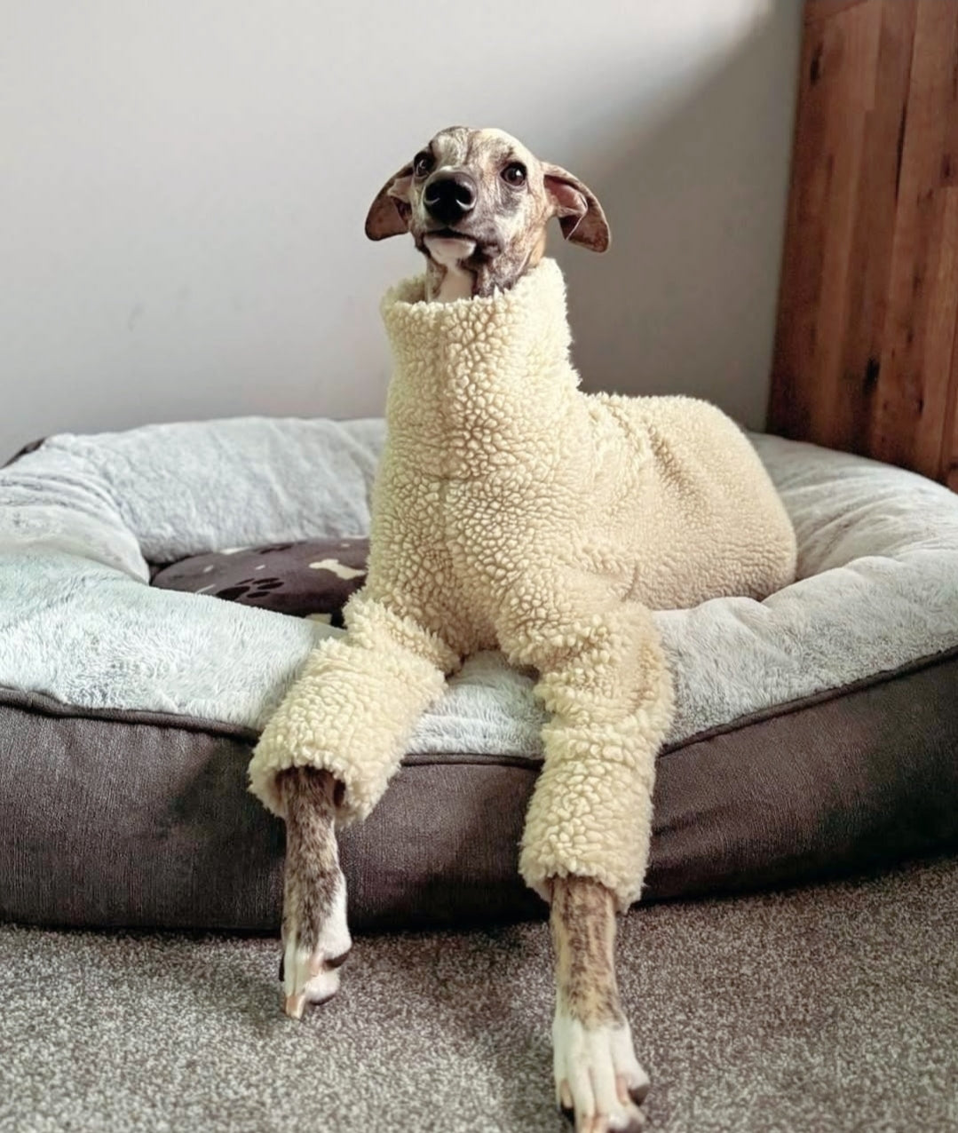 Printed Sherpa Fleece Sighthound Jumper