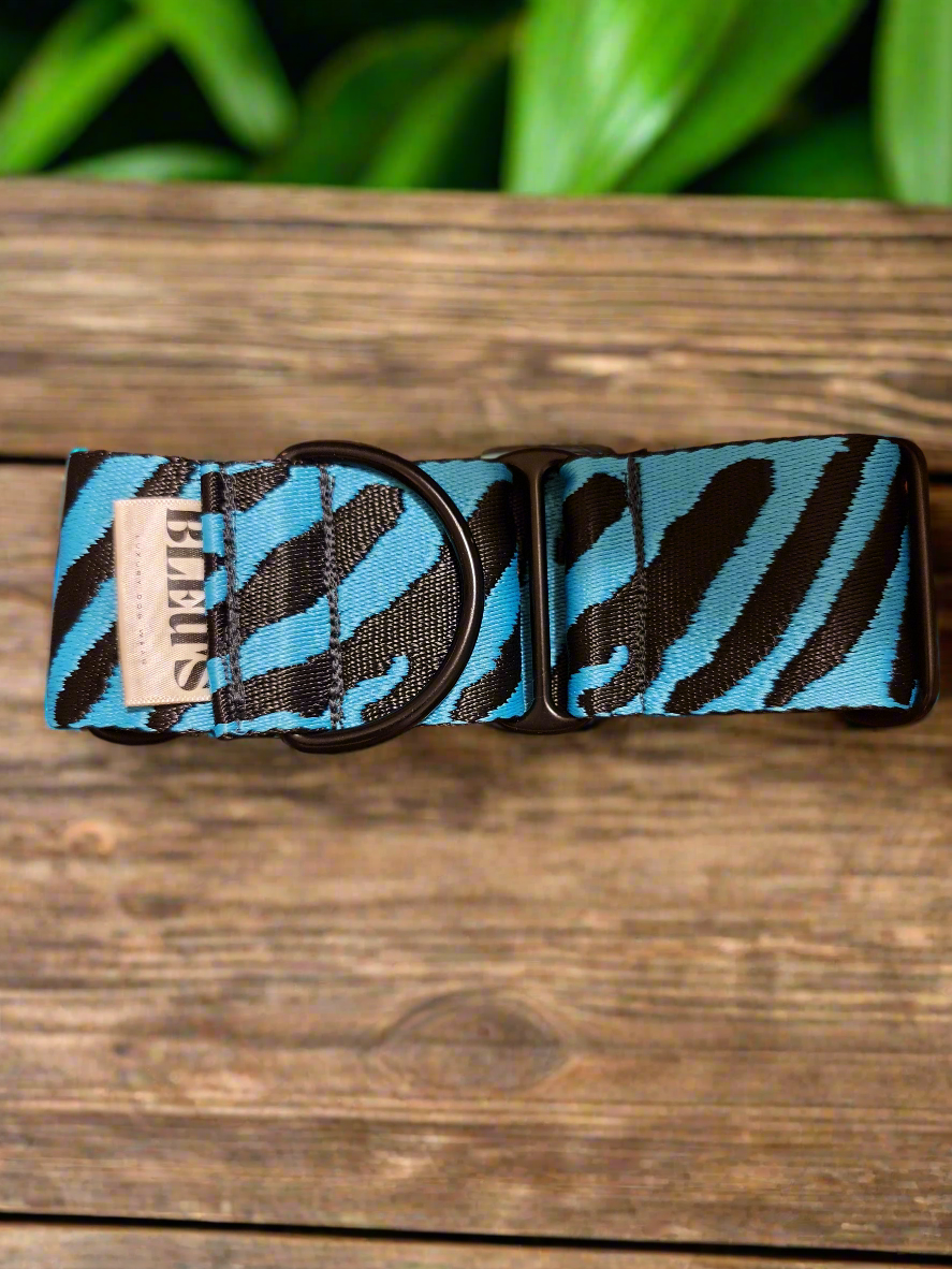 50mm Thick Zebra Martingale Collar