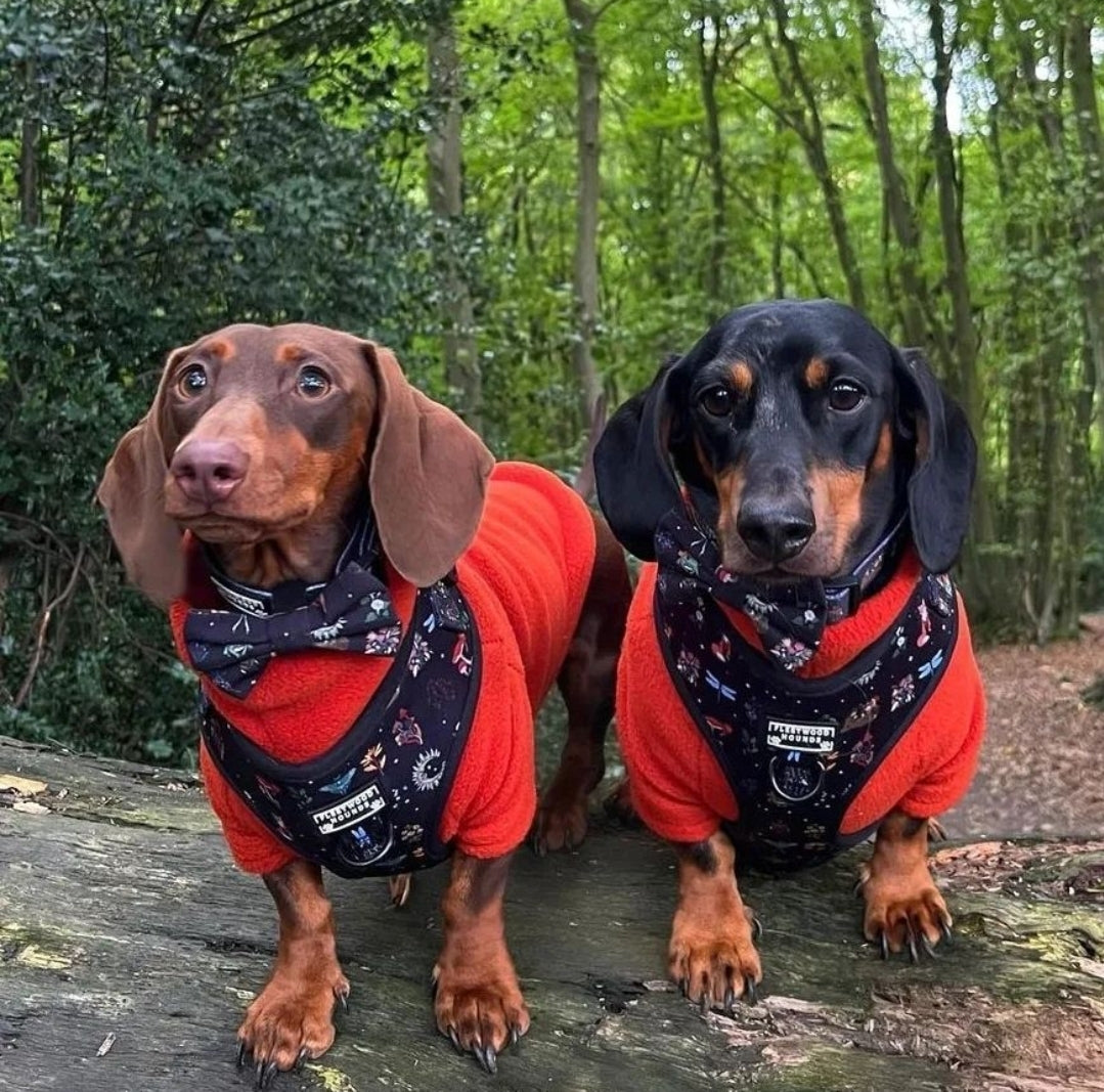 Dachshund/Small Breed Long Sleeve Jumper